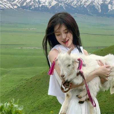 报告王爷，王妃是只猫2